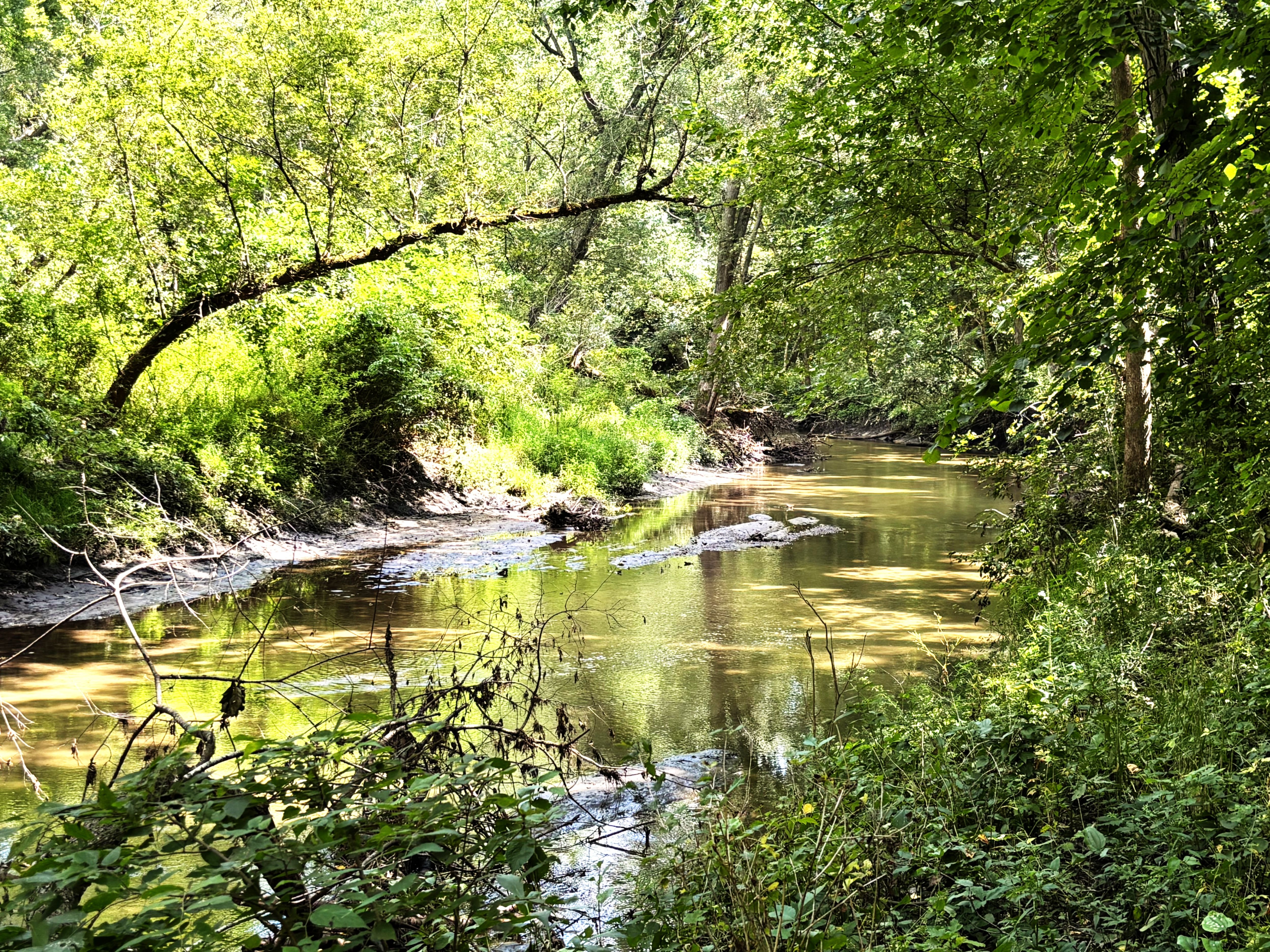 Listing Photo: Northeast Iowa land for sale